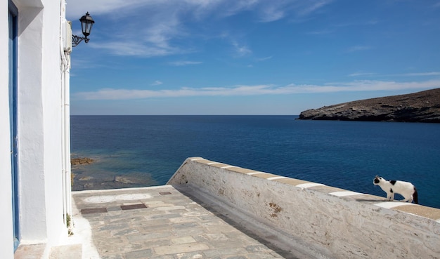 Andros island Chora town Cyclades Greece Aegean sea blue sky cat balances on concrete handrail