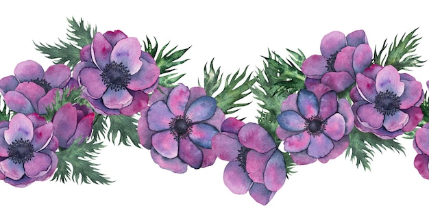 anemone flowers seamless border in Bright purple colors Hand drawn Watercolor floral illustration isolated on on white Botanical art for wedding anniversary birthday invitations websites