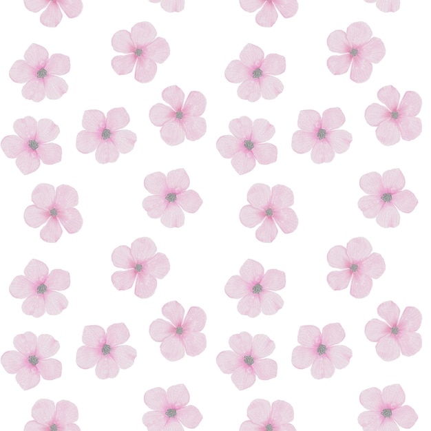 Anemone watercolor flowers seamless pattern