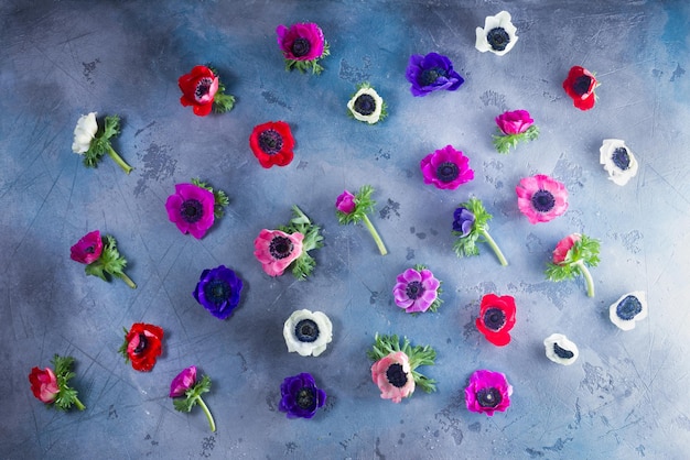 Anemonen bloemen op stenen achtergrond