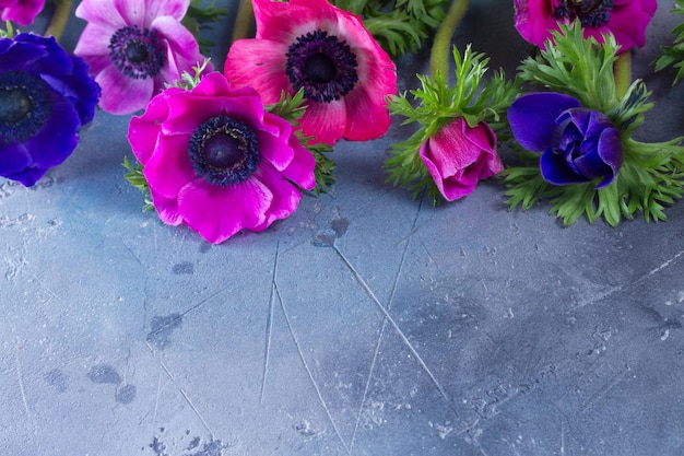 Anemones flowers on stone background