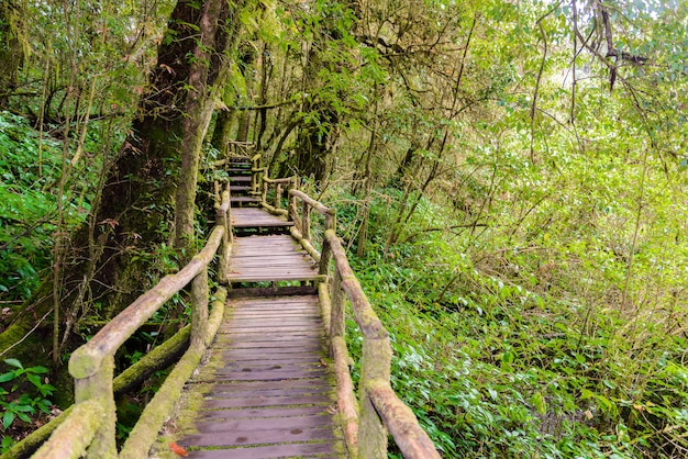 Sentiero naturalistico dell'ang ka luang