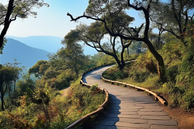 Ang ka natuurpad in het doi inthanon nationaal park