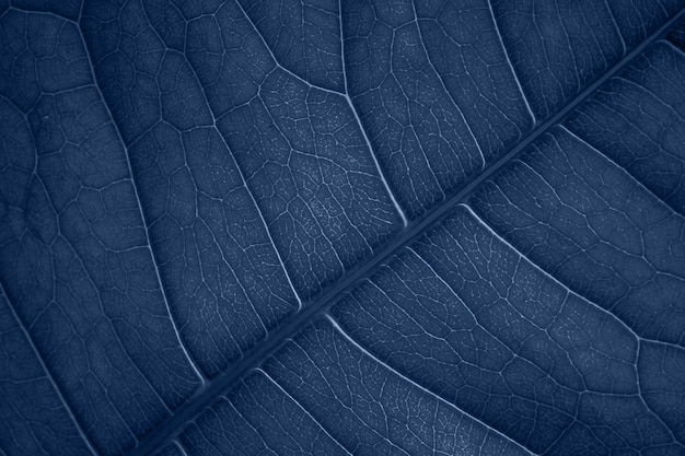 Angel Blue Noise and Static Abstract Background for Modern Designs