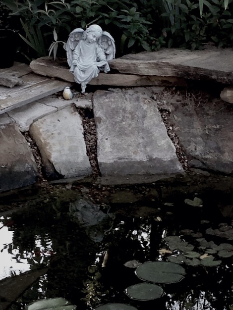 사진 연못 연안 에 있는 천사 조각
