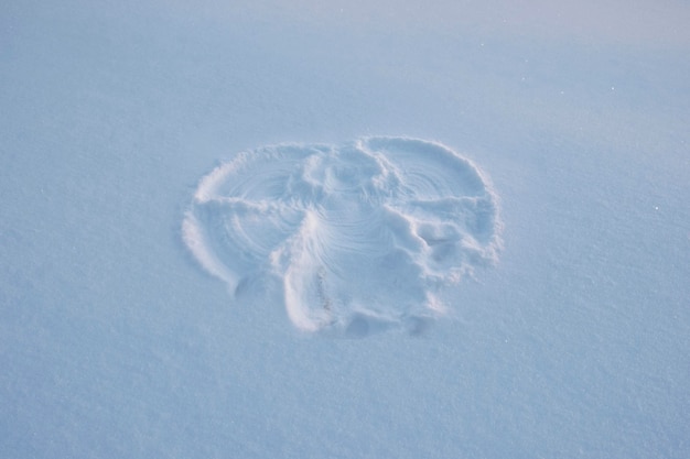 冬の新雪の天使の形