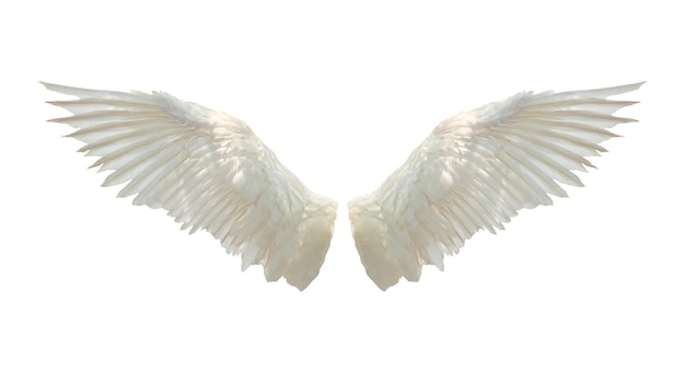 Foto ali d'angelo isolate su sfondo bianco