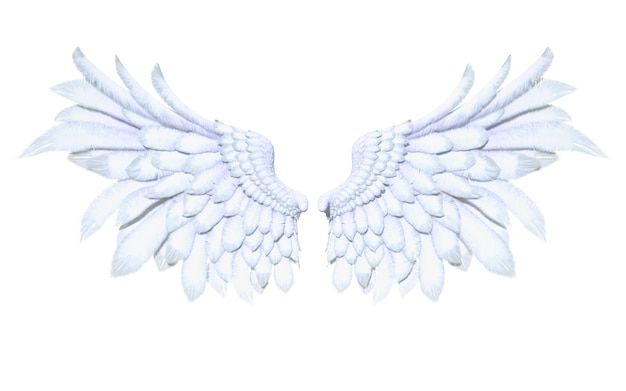 Foto angel wings, white wing plumage isolato su sfondo bianco