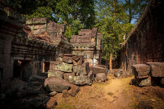 앙코르 와트는 캄보디아의 거대한 힌두교 사원 단지입니다.