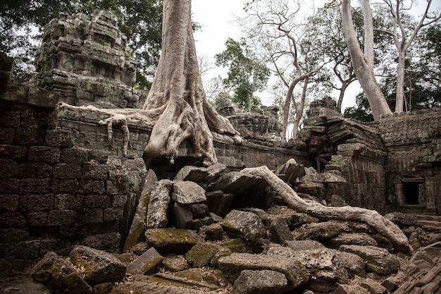 Angkor Wat Siem Reap Cambodia