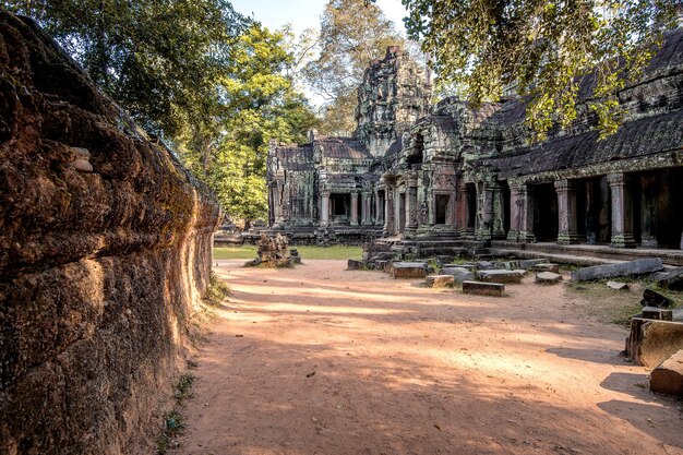 Angkor Wat-tempel, Siem oogst in Kambodja.