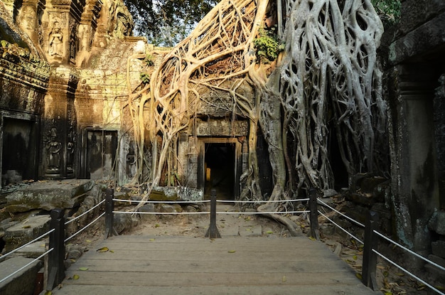 Angkor Wat tempelcomplex Cambodja Prachtig uitzicht op de ruïnes van de oude TA Prohm tempeldeurpoort