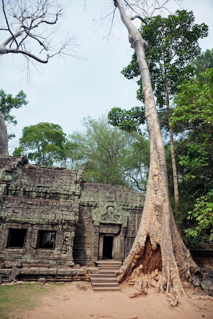 Angkor Wat