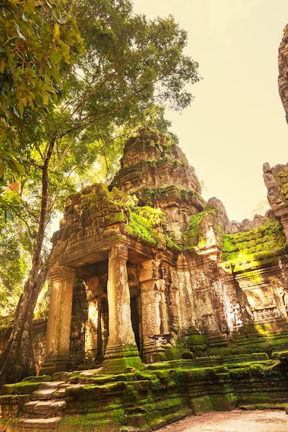 Angkor