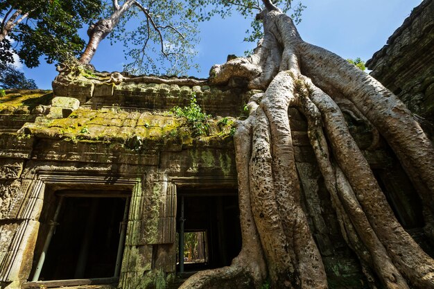 Photo angkor