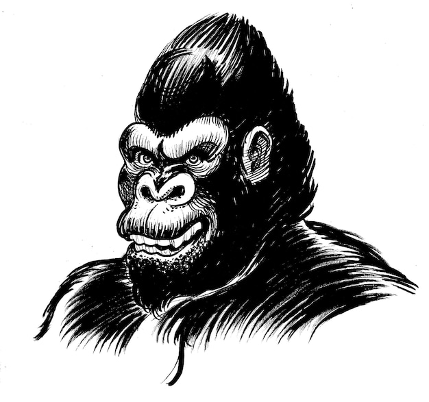 Angry gorilla face Ink black and white drawing