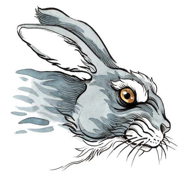 Angry looking hare. Ink and watercolor drawing