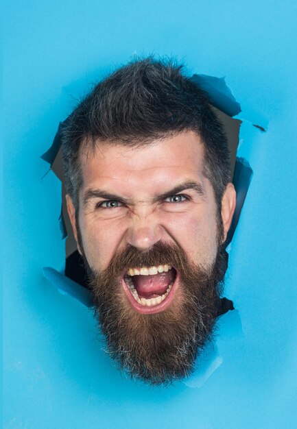 Angry male face through hole in blue paper bearded man watches through hole in paper screaming man