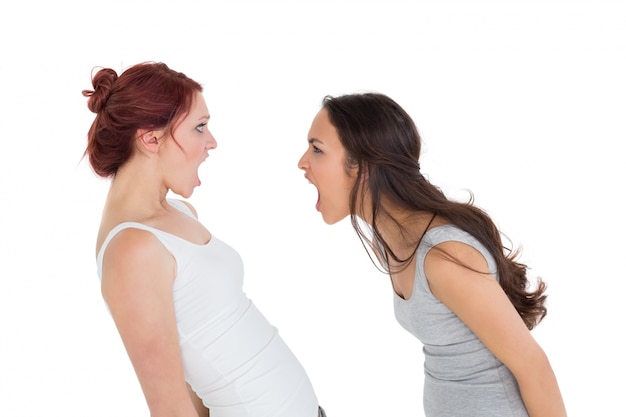 Angry young female friends having an argument