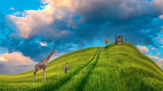 Animal in the grass forest background