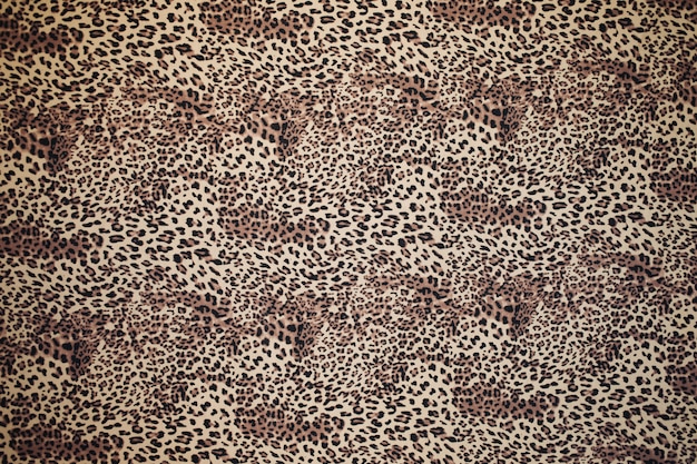 Животный принт, текстура леопарда