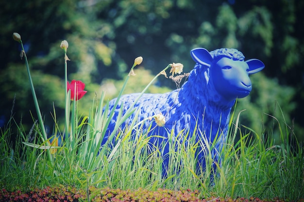 animal representation on grassland