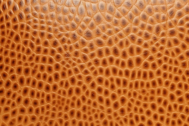 Animals leather background closeup skin texture