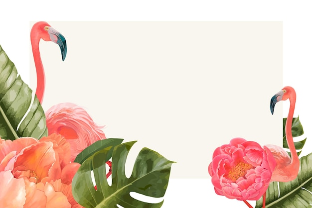 animals png frame transparent background