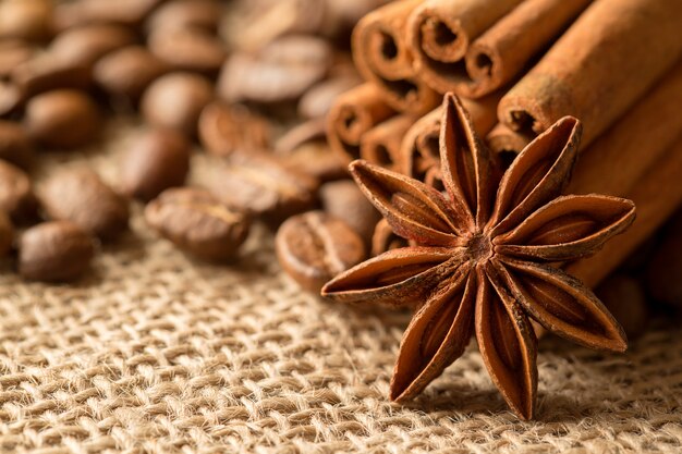 Anise and cinnamon closeup