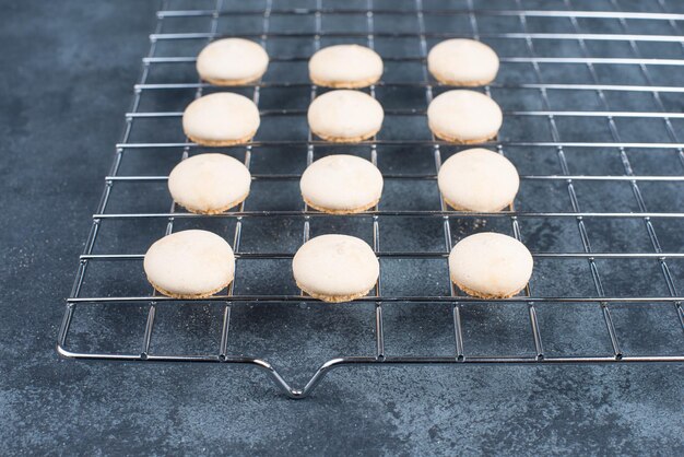 Foto anise koekjes duitse traditionele kerst snoepjes anisgeback anisplatzchen