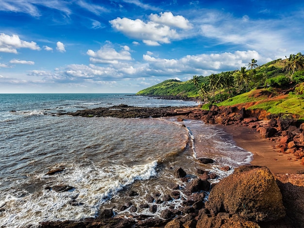 Anjuna beach goa