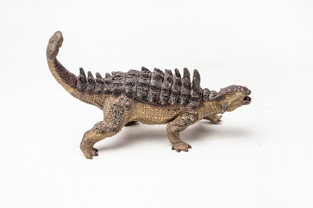 Ankylosaurus Dinosaur on white background 