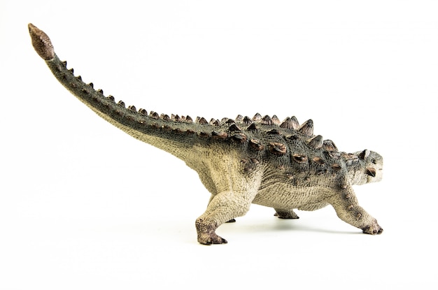 Ankylosaurus , dinosaur.