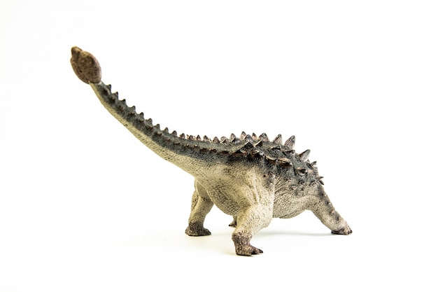 Ankylosaurus , dinosaur.