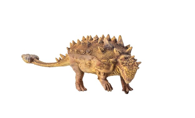 Foto ankylosaurus dinosaurus op een geïsoleerde achtergrond