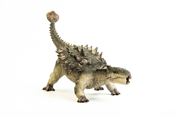 Ankylosaurus, dinosaurus.