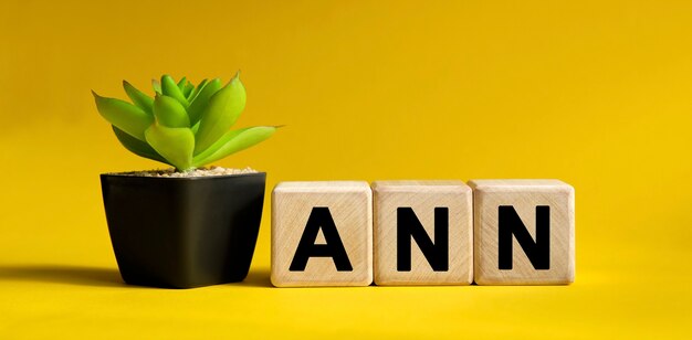 黄色い表面のANNテキスト。木製の立方体と鉢植えの花。