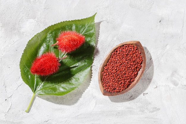 Annatto 종자 Onoto Annatto Bixa orellana 천연 붉은 색소