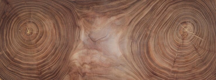 Фотография годовые кольца на поперечном срезе коричневого дерева