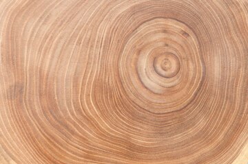 Annual Wood Circles - Pieces Of Wood With Annual Rings Stock Photo, Picture  and Royalty Free Image. Image 6331071.