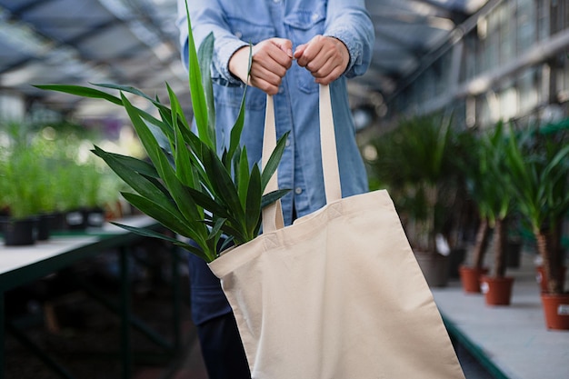 Anonymous woman holding eco friendly reusable bag in hands with yucca in itGreenhouse on background