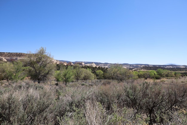 Ansazi State Park in Utah