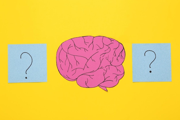answering questions concept paper brain with memo papers with question marks on yellow background