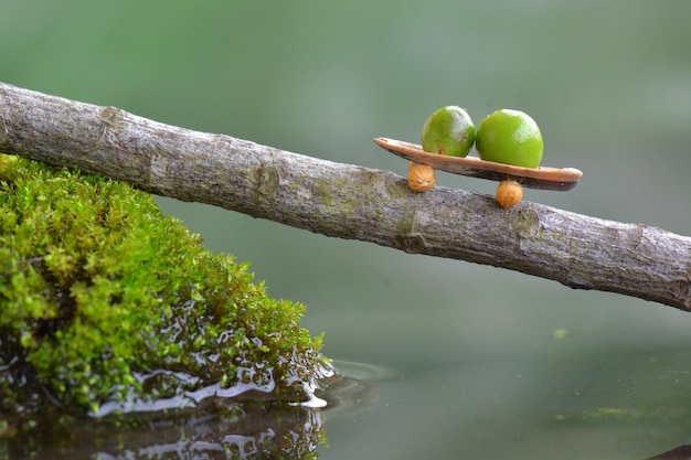 Ant crossing  on water