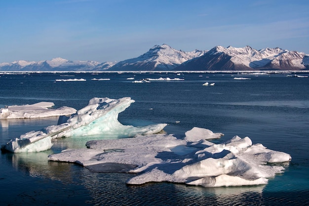 Antarctic Peninsula Antarctica