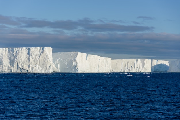 Vista sul mare antartica con iceberg