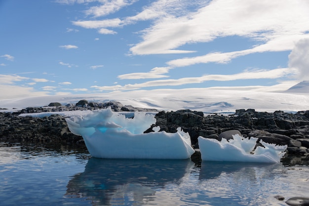 Foto antarctische landschap met ijsberg