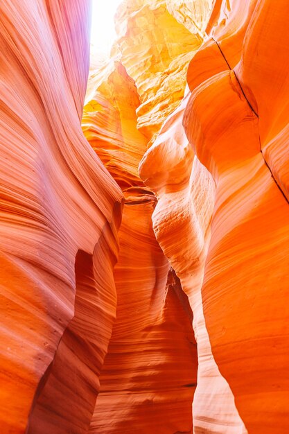 Foto il canyon dell'antilope, il canyon più bello degli stati uniti.