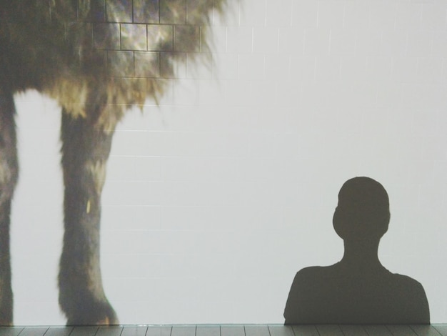 Photo anthropomorphic shadow on wall