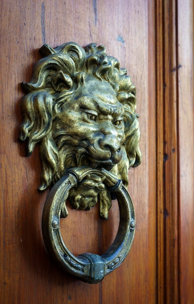 Antieke decoratieve handgreep klopper op houten vintage huisdeur klassiek metaal brons leeuwenhoofd hoog